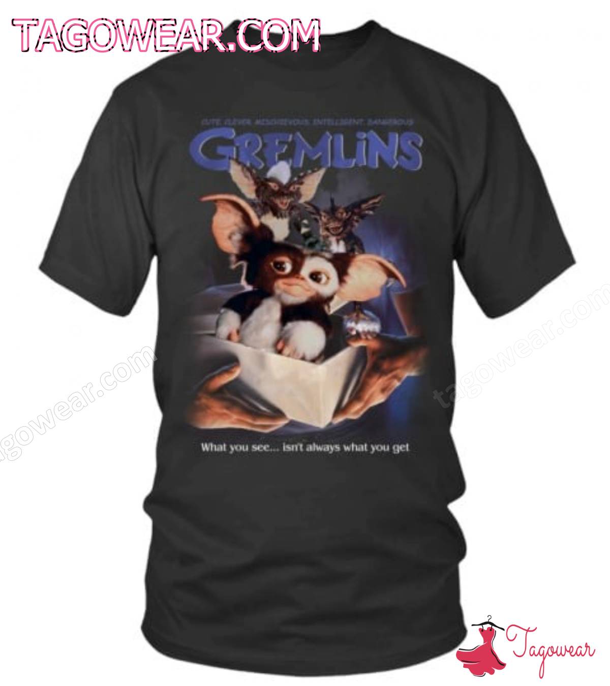 Cute Clever Mischievous Intelligent Dangerous Gremlins What You See Isn't Always What You Get Shirt